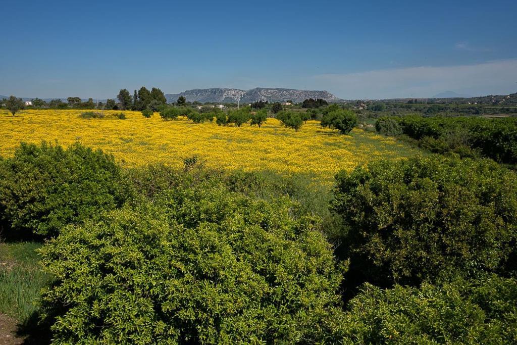 Farm Stay La Frescura Agriturismo Siraküza Dış mekan fotoğraf